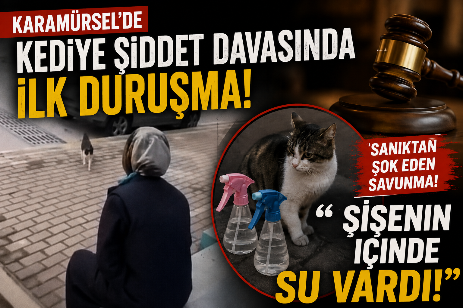 SANIĞIN SAVUMASI ŞAŞIRTMADI, MAHKEME KARARINI VERDİ!