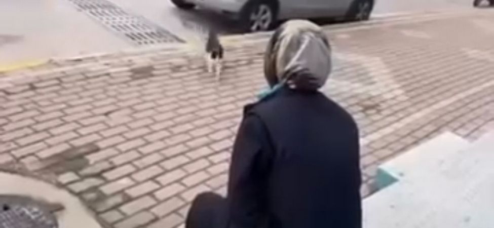 SANIĞIN SAVUMASI ŞAŞIRTMADI, MAHKEME KARARINI VERDİ!