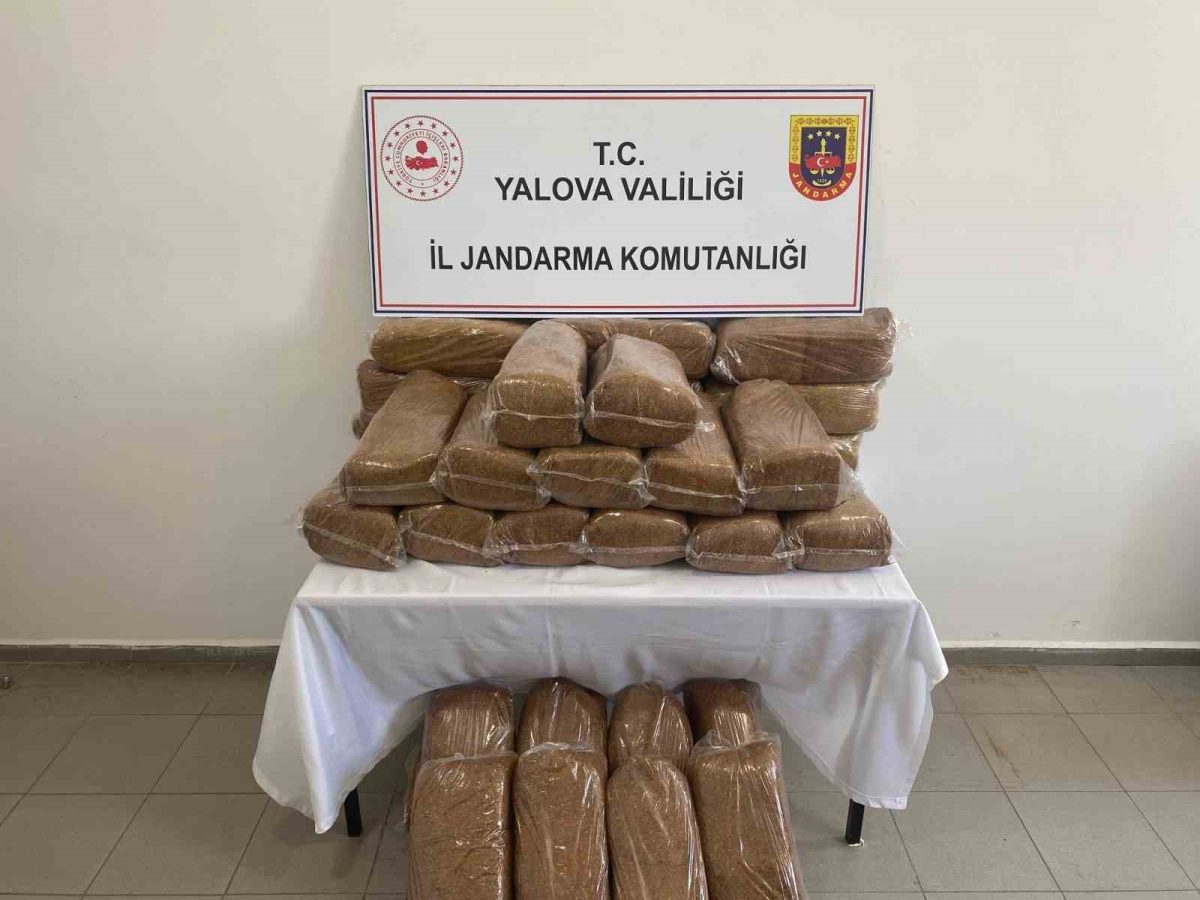 YALOVA'DA KAÇAK TÜTÜN OPERASYONU! 160 KİLOLUK BANDROLSÜZ TÜTÜN BASKINI 3 YALOVA'DA KAÇAK TÜTÜN OPERASYONU! 160 KİLOLUK BANDROLSÜZ TÜTÜN BASKINI