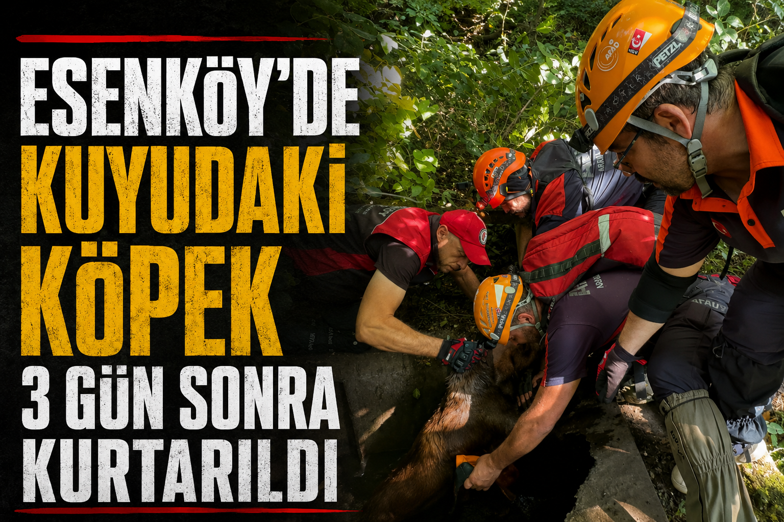 ESENKÖY’DE KÖPEK 3 GÜN BOYUNCA KUYUDA MAHSUR KALDI