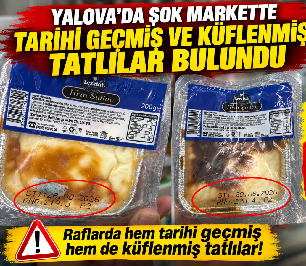 YALOVA'DA TARİHİ GEÇMİŞ VE KÜFLENMİŞ ÜRÜNLER “ŞOK” ETTİ!