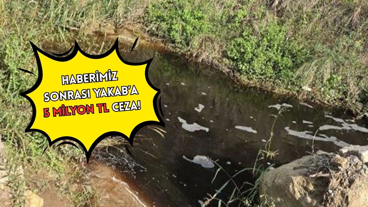 YALOVA’DA DENİZ KİRLİLİĞİNE 5 MİLYON TL CEZA!